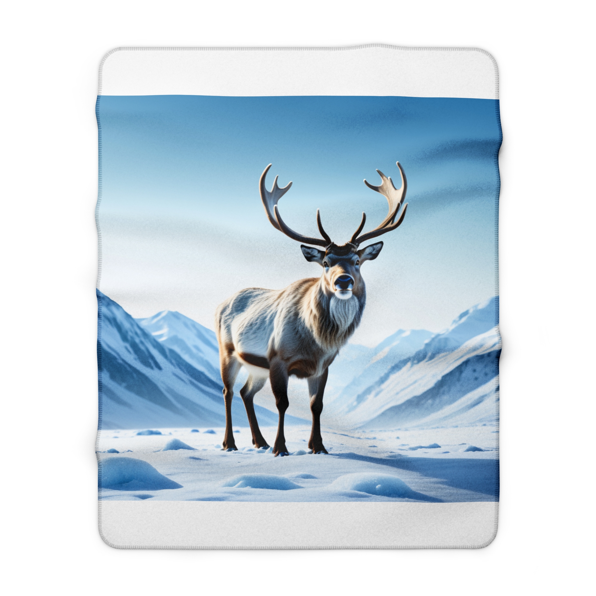 Renne Glaciale – Image 9