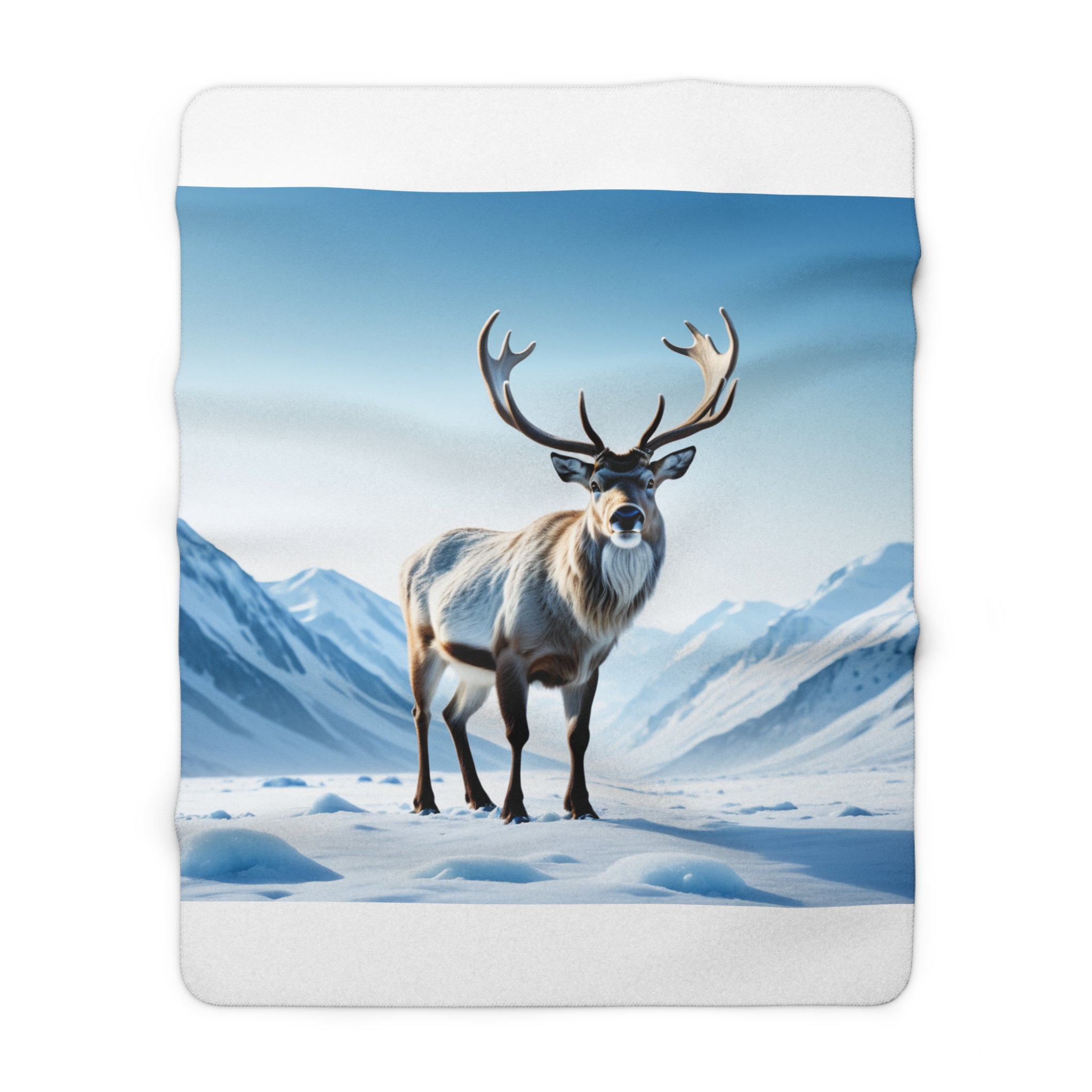Renne Glaciale – Image 5
